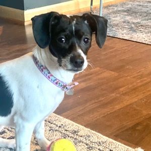 Meet your Posher, Andrew